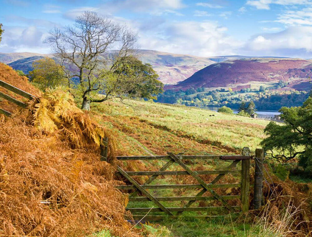 Cumbria property search, countryside, fields