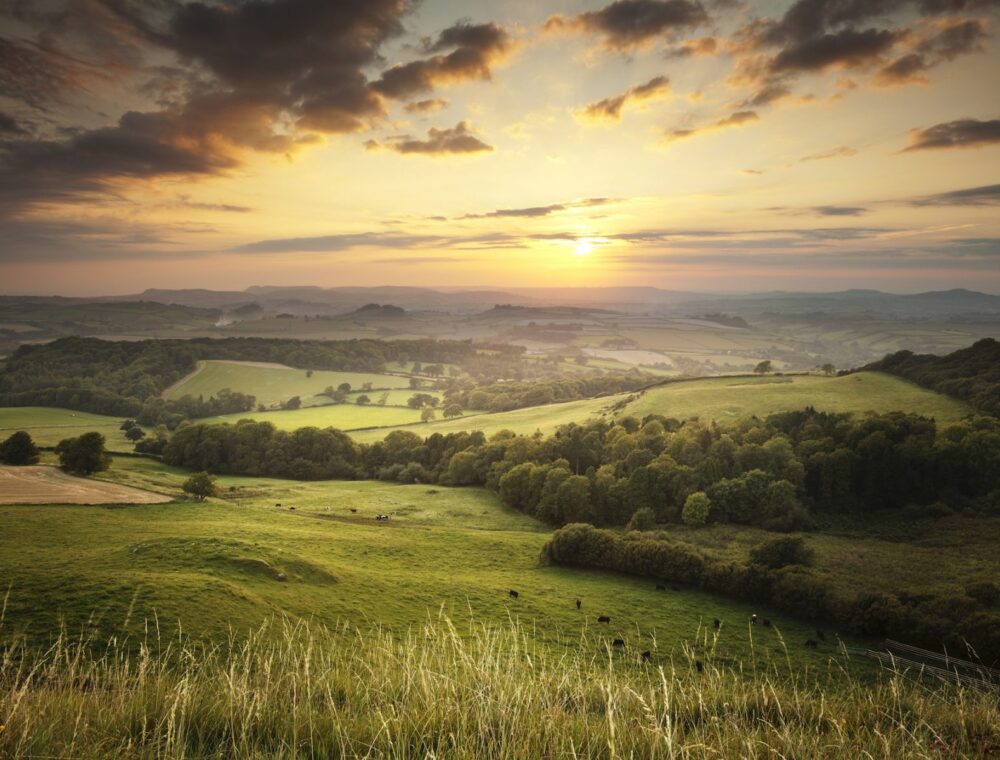 A beautiful green countryside landscape in England