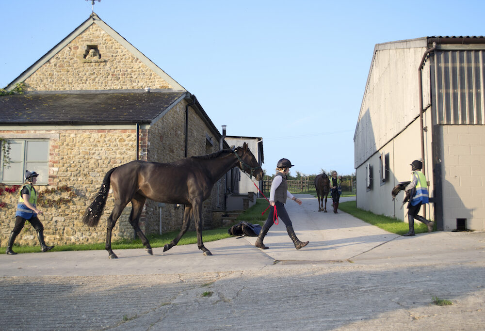 An equestrian property is shown with stables, a stone cottage, and two people leading horses against a blue sky.